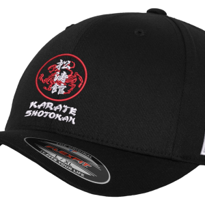 SHOTOKAN KANJI